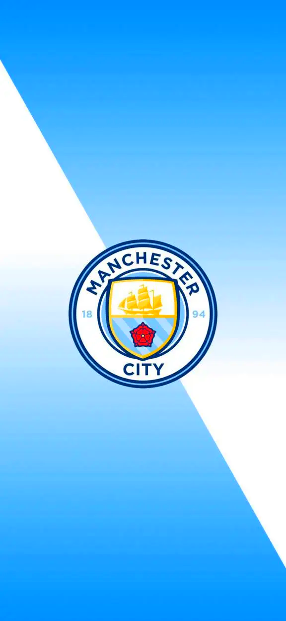 team-player-structure-view